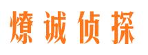 洪山市侦探调查公司